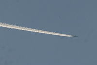 G-TNEF