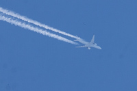 F-HUVQ