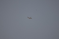G-VNEW