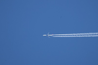 N431DX