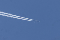 SP-RZO