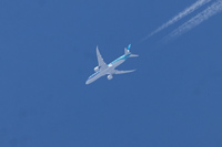 F-OMUA