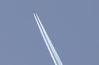 G-LCYN