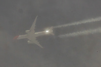 HB-IHC