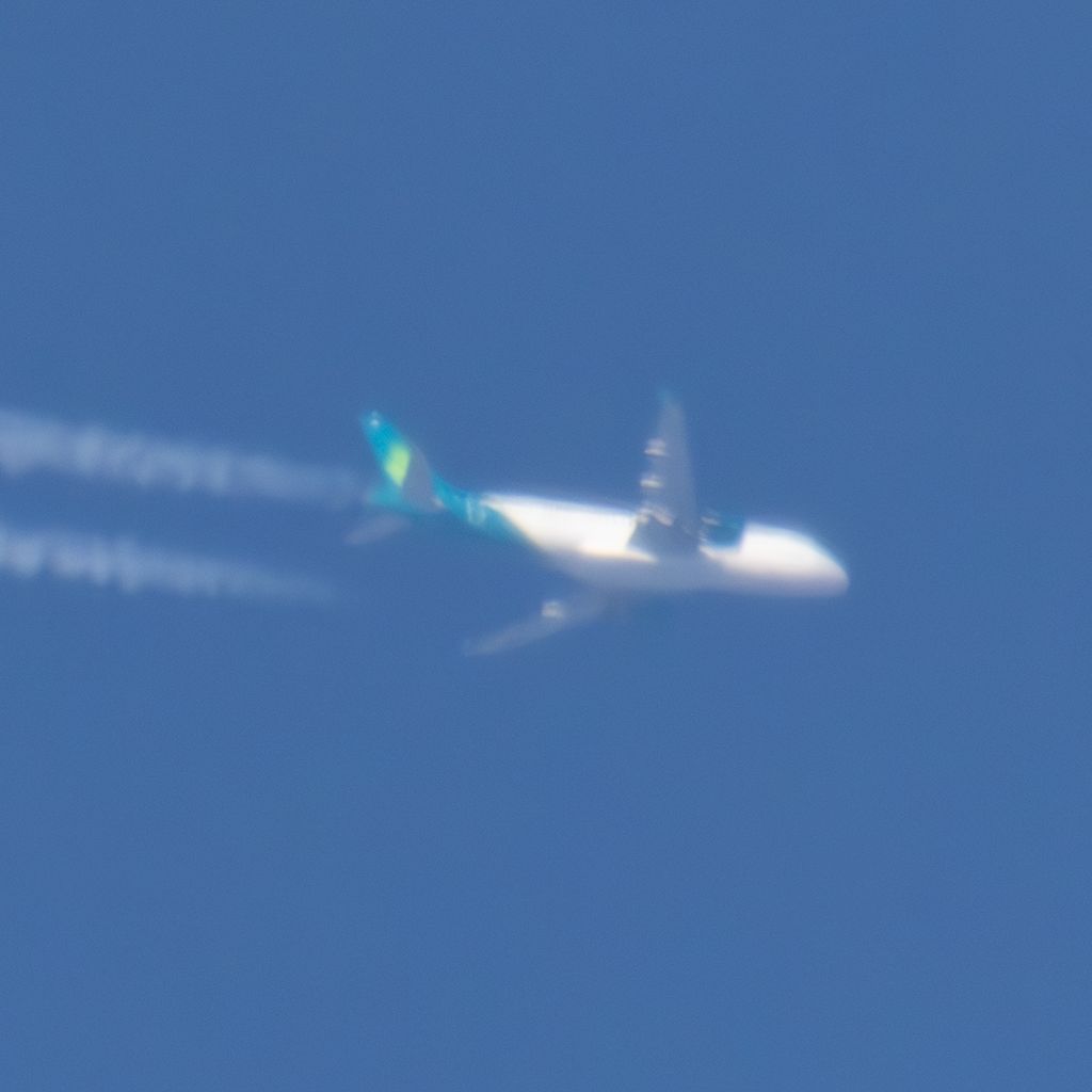 EI-DVH: Aer Lingus  Airbus A320-214