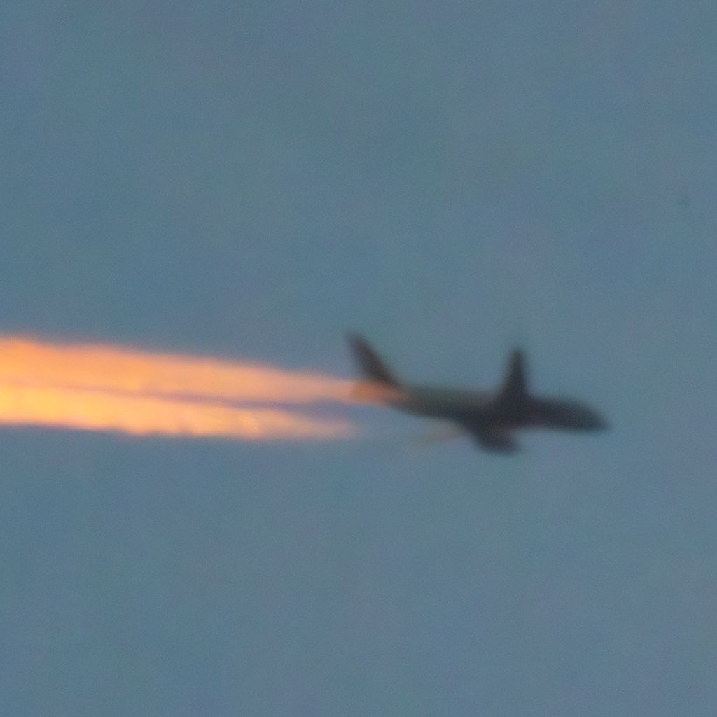G-DBCH: British Airways  Airbus A319-131