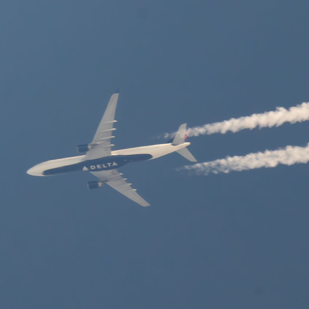 N806NW: Delta Air Lines  Airbus A330-323