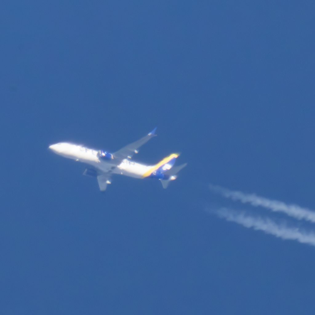 TF-ICY: Icelandair  Boeing 737 MAX 8